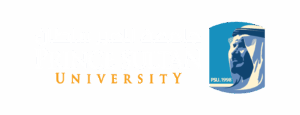جامعة الأمير سلطان